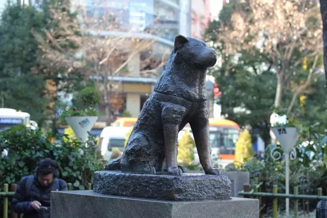 Monumento Hachiko en la estación Sibuya