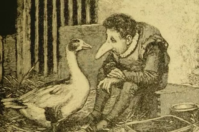 Dwarf nose and goose