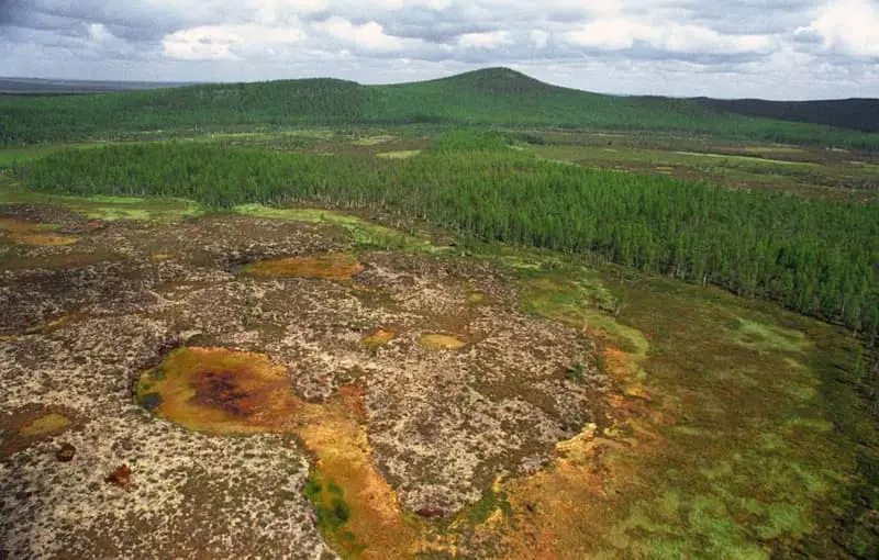 Фото місця падіння Тунгуського метеорита (https://nauka.tass.ru/nauka/3949743)