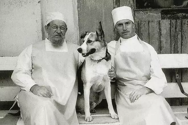 პროფესორი Preobrazhensky, ძაღლი ბურთი და ბორბალი
