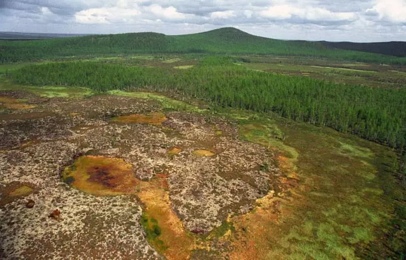 Lieux de photo de la chute de la météorite tungusky (https://nauka.tas.ru/nauka/3949743)