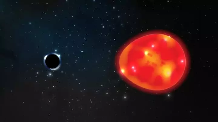 Black Hole Deforms รูปร่างของยักษ์สีแดงใกล้เคียง / ภาพประกอบ: Lauren Fanfer (มหาวิทยาลัยแห่งรัฐโอไฮโอ, https://news.osu.edu/black-hole-is-closest-to-earth-among-the-mallest-evan - ค้นพบ /)