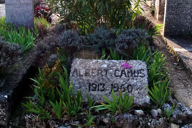 Grave Alber Cami