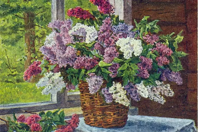 Still Life Peter Konchalovsky