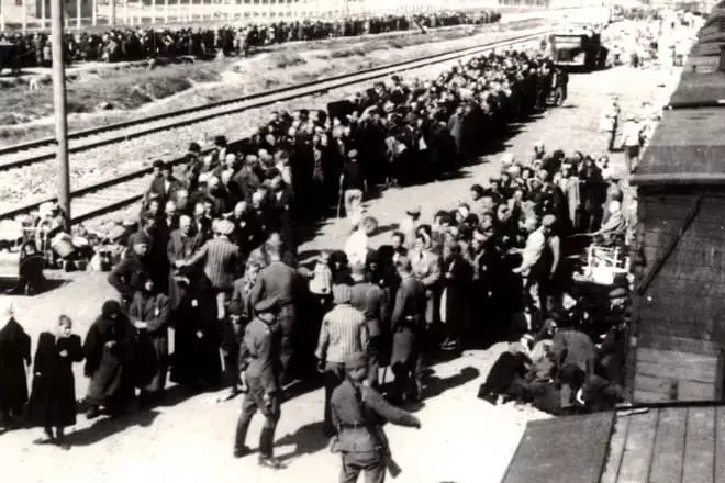 Arrivo di ebrei dall'Ungheria a Auschwitz