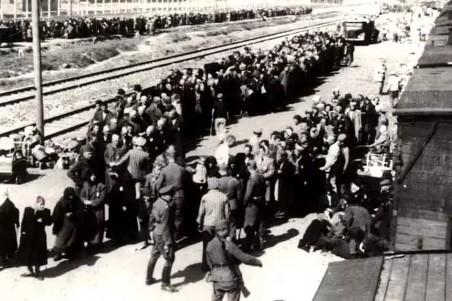 Llegada de judíos de Hungría en Auschwitz