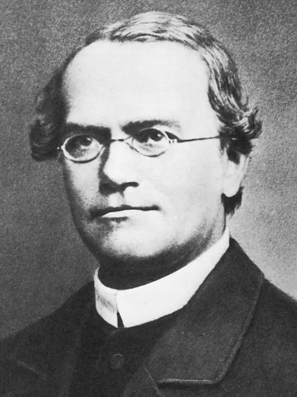 Gregor mendel - biography, isithombe, isayensi, impilo yomuntu siqu, inqubo