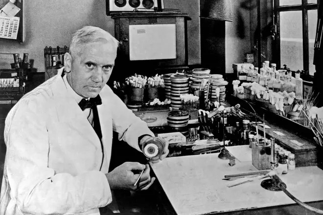 Alexandre Fleming en laboratoire