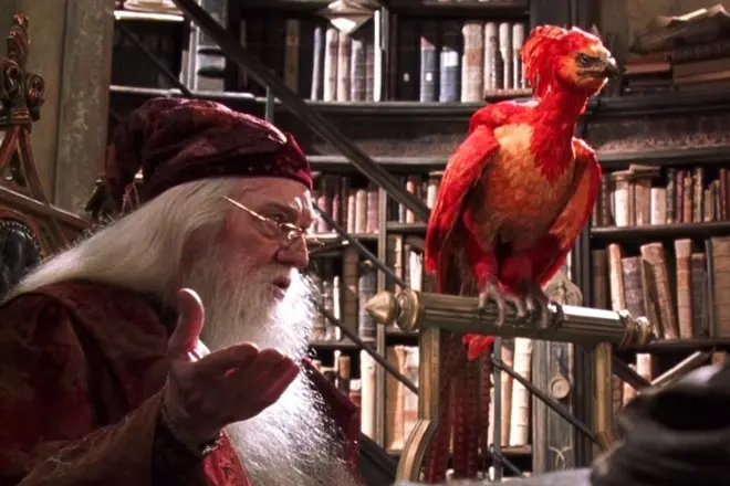 Phoenix i filmen om Harry Potter