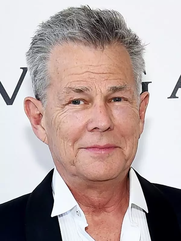 David Foster - biografia, zdjęcie, życie osobiste, wiadomości, piosenki 2021