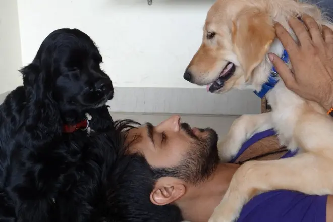 Ashish Sharm and his dogs