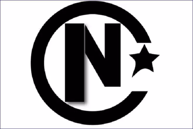 Logo van de Nancy Group