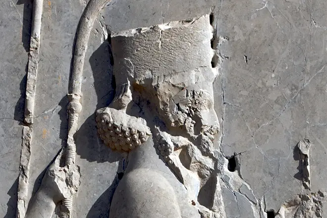 Basiel Persian King Cers