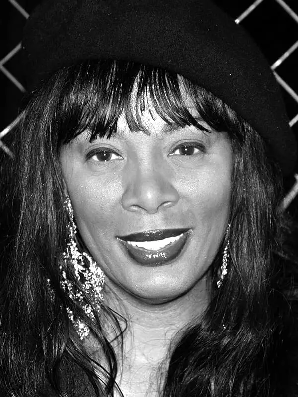Donna Summer - biography, photo, personal life, songs, death