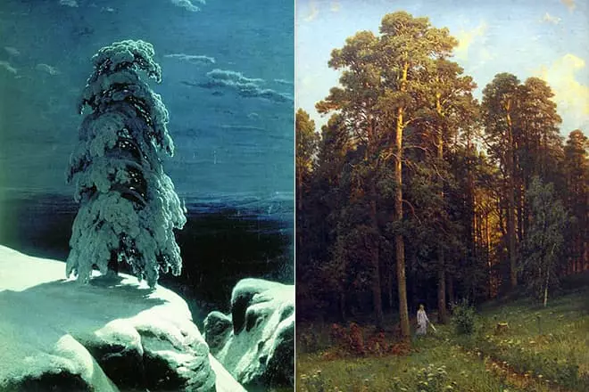 Photos d'Ivan Shishkin "dans le nord de sauvage ..." et "sur le bord d'une pinède"