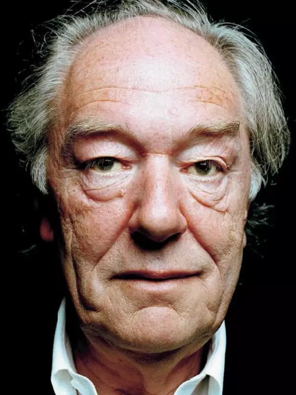 Michael Gambon - Biografio, Foto, Persona Vivo, Novaĵoj, Filmografio 2021