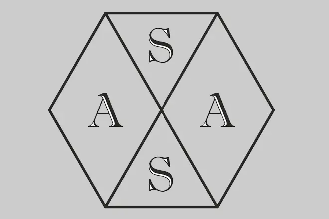 Логотип Ассай