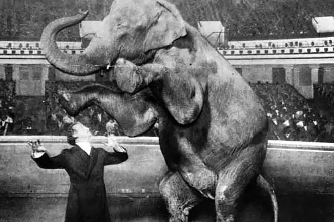 एक हाथी के साथ हैरी हुडिनी