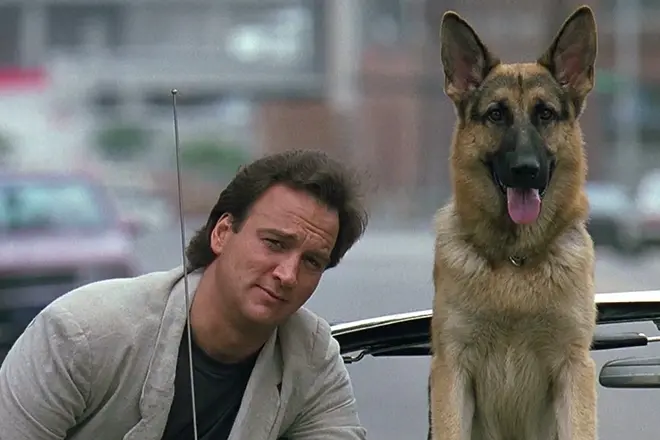 James Belushi - Biografia, foto, vita personale, notizie, filmografia 2021 16318_3