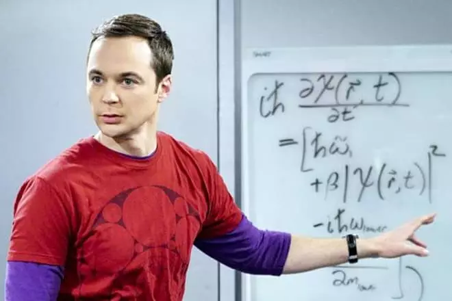 Physicist Sheldon Cooper.