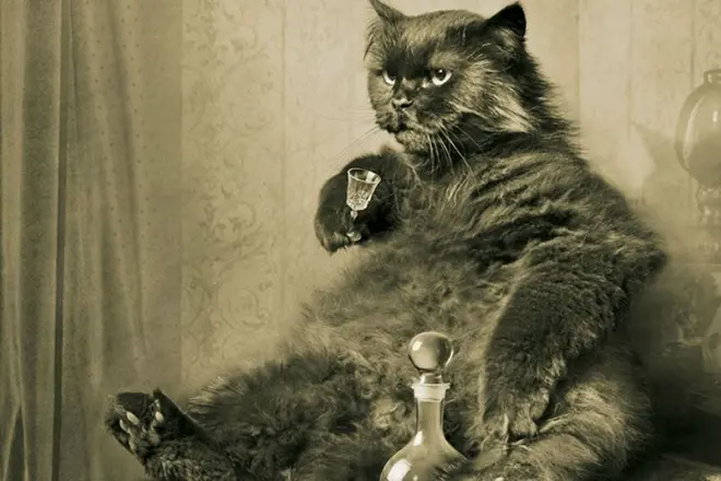 แมวฮิปโปพร้อมวอดก้าหนึ่งแก้ว