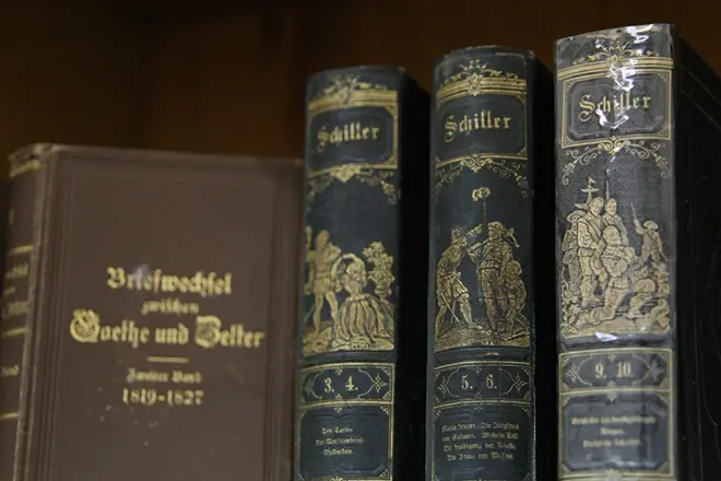 Boeken Friedrich Schiller