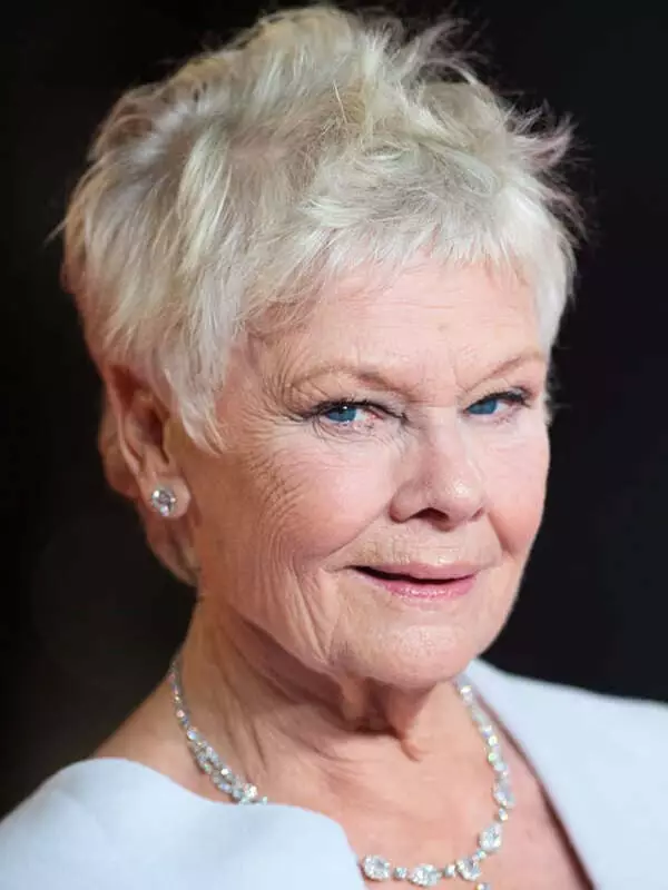 Judy Dench - Biography, bophelo ba botho, Litaba tsa Boriri, Litaba tsa Brithani, lifilimi, Theatre 2021