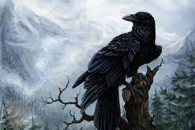 Koschey Immortal na Raven.