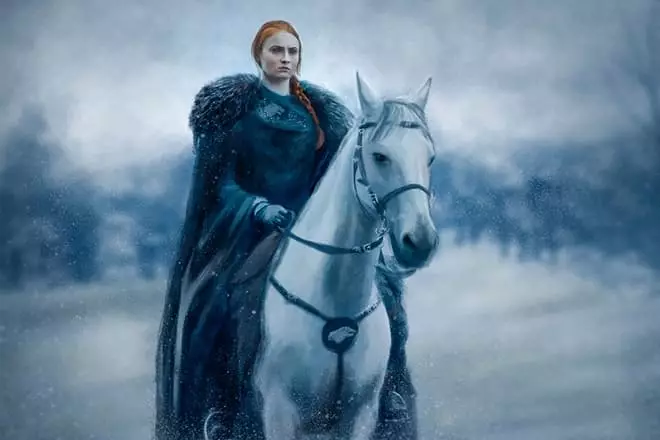 Sansa Stark - ສິນລະປະ