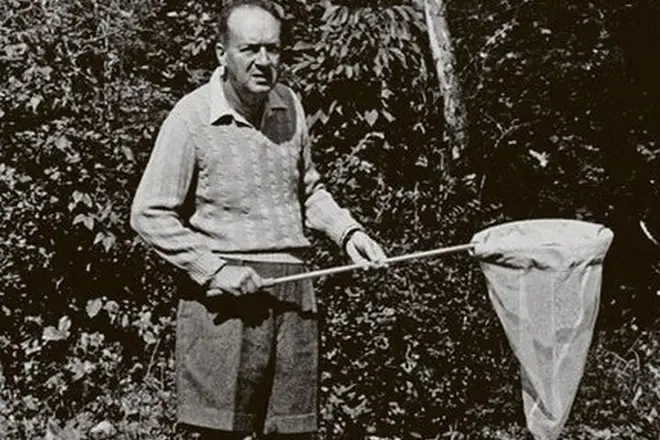 Vladimir Nabokov le sacc