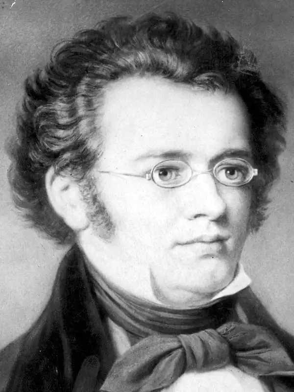 Franz Schubert - Biografie, Foto, Persoonlike Lewe, Werke