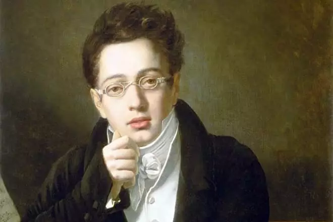 Franz Schubert στη νεολαία