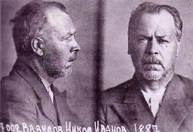 Nikolay Vavilov na prisão