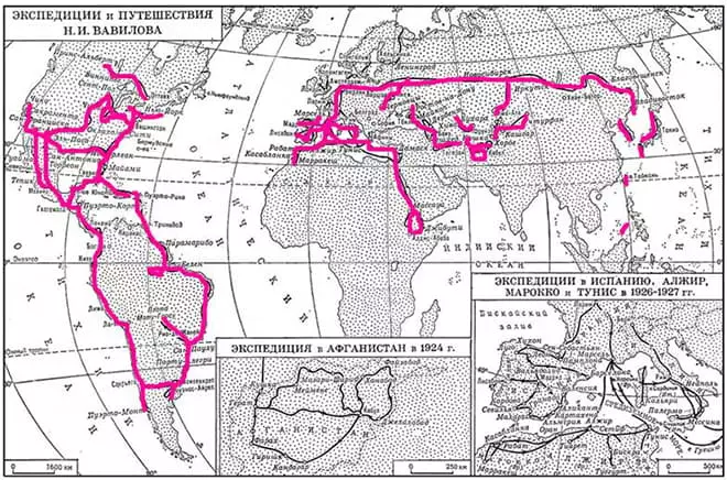 Route Expeditions Nikolai Vavilova