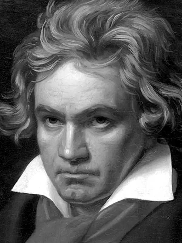 Ludwig van Beethoven - Biography, Saripika, Fiainana manokana, Miasa