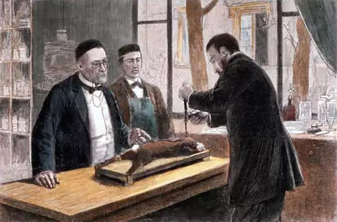 Arbrofion Louis Pasteur