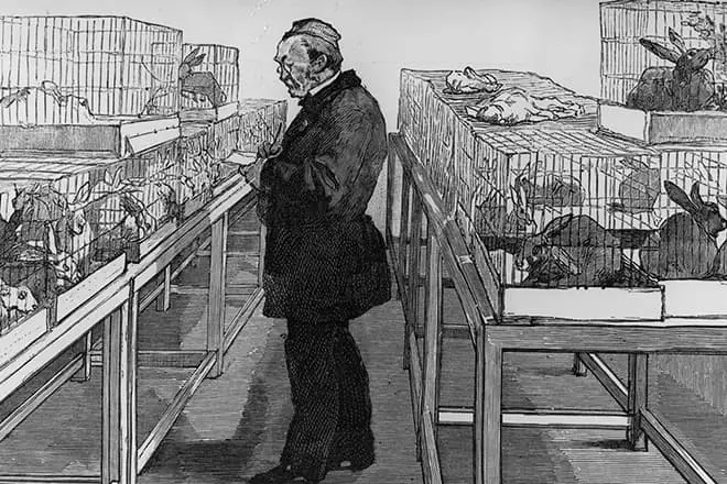 Zečevi Louis Pasteur