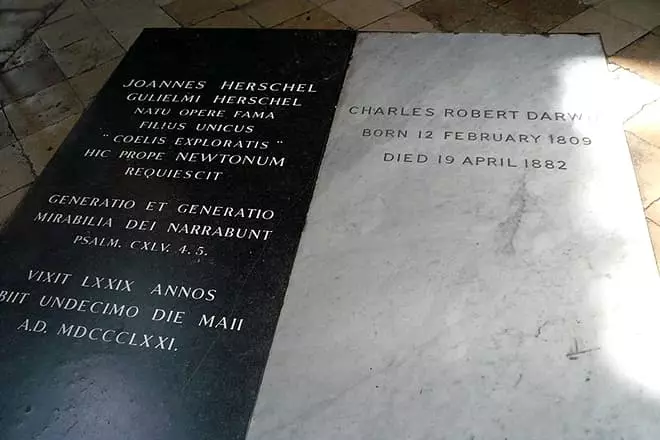 Grave Charles Darwin