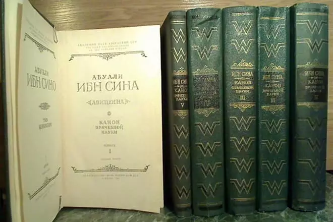 Ibn Sina (Avicenna) - Bijografija, Ritratti, Ħajja Personali, Mediċina u 