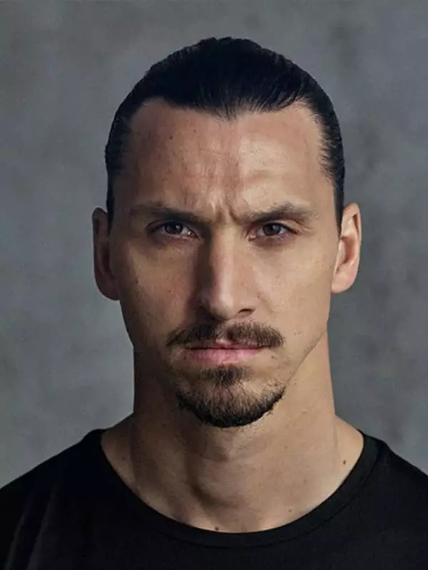 Zlatan Ibrahimovich - Biografía, foto, vida personal, noticias, fútbol 2021