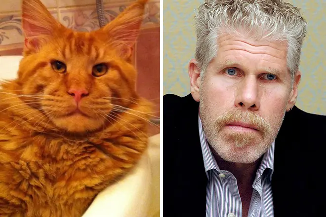 Ron Perlman a Maine Coon