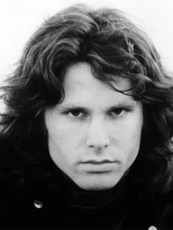 Jim Morrison - terjimehaly, surat, gapylar, aýdym-saz karary, sebäbi