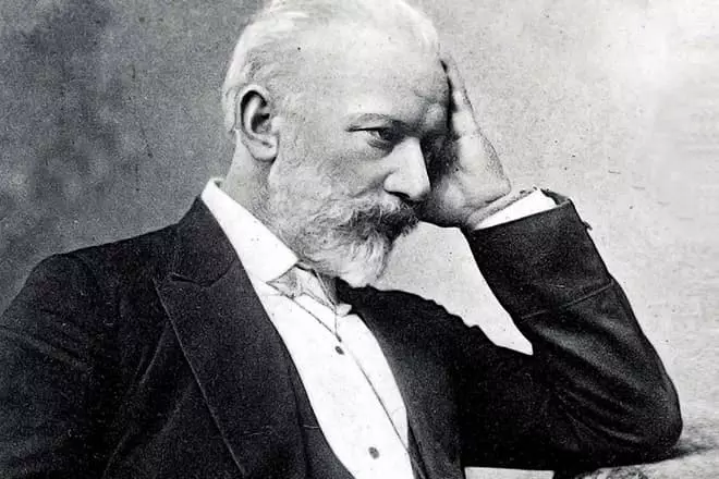 Peter Tchaikovsky - biografija, nuotraukos, kūrybiškumas, asmeninis gyvenimas, darbai ir jo ryšys 18004_4