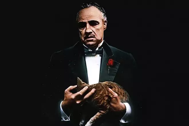 Vito Korleone s mačkom