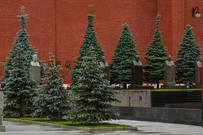 Ang libingan ng mga buto ng budennye malapit sa Kremlin Wall