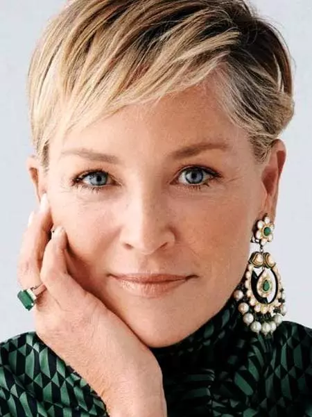 Sharon Stone - Βιογραφία, προσωπική ζωή, φωτογραφία, νέα, ταινίες, "κύριο ένστικτο", στη νεολαία, τα παιδιά 2021