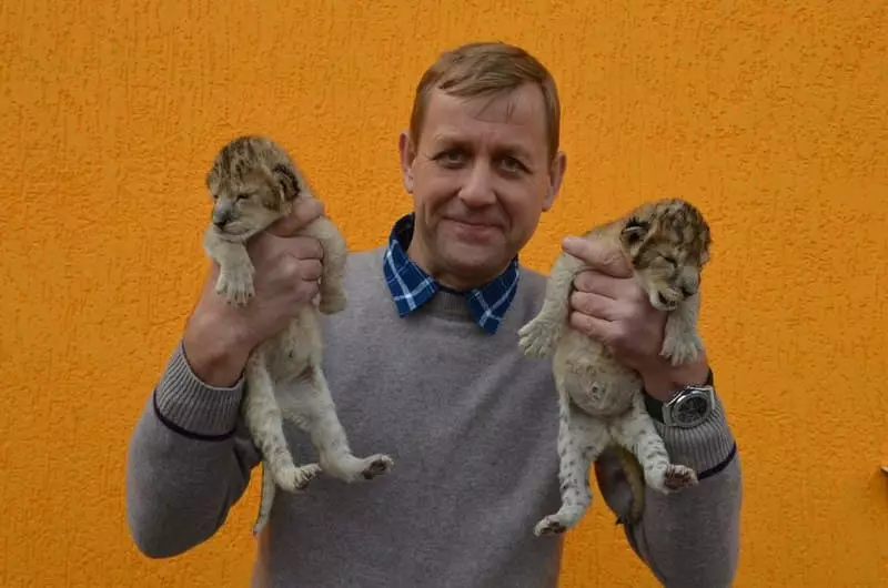 Lion Man Oleg Zubkov.