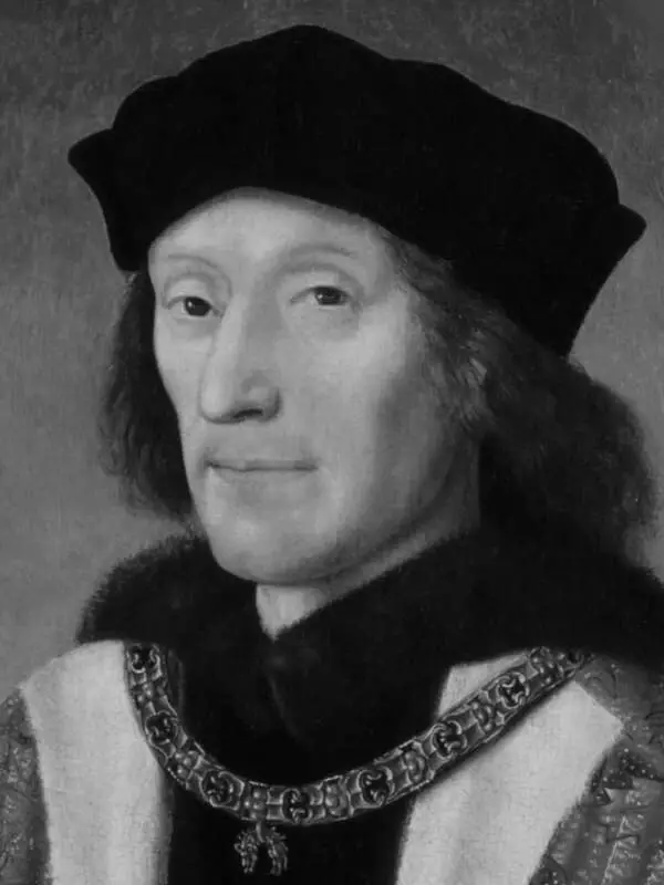 Henry VII - Portrait, Re tal-Ingilterra, Bijografija, Ħajja Personali, Kawża tal-Mewt, Bord