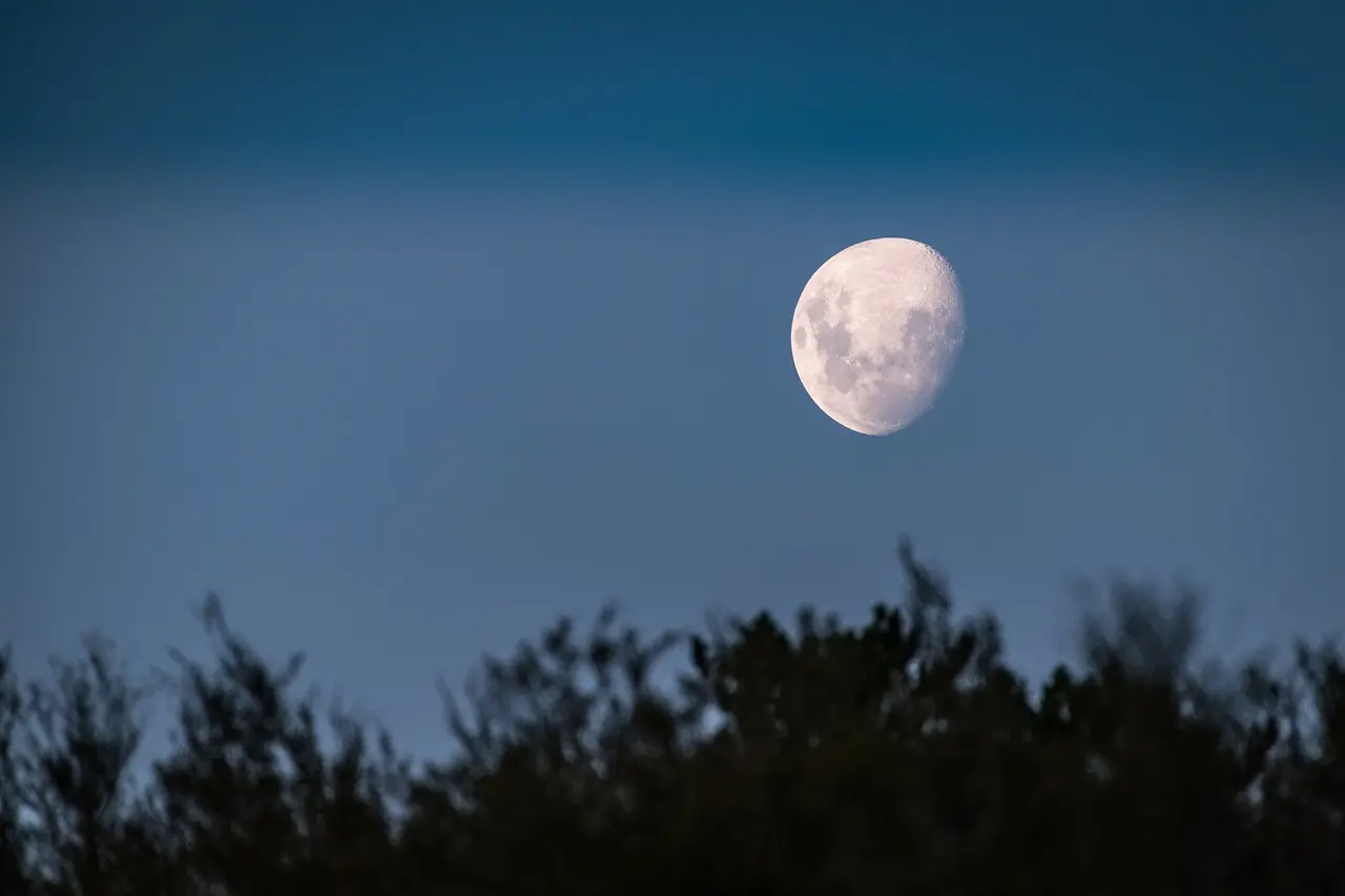 Calendário Lunar para 2020: cortes de cabelo, gargery, jardineiro, semeadura, casamentos