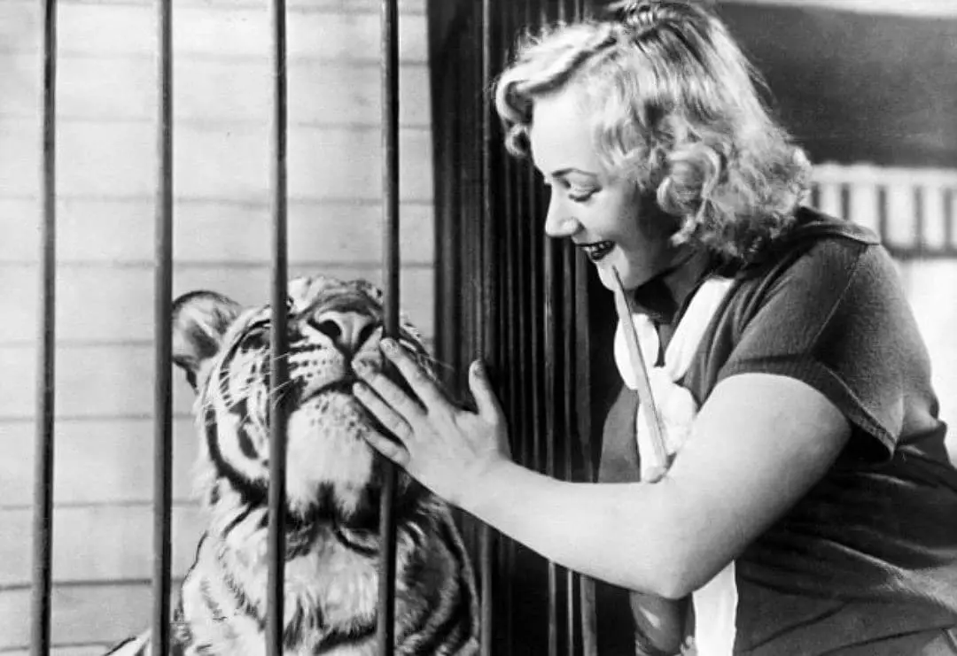 فلم "tigriths" (1954): رولز، فلم، اداکاروں، شوٹنگ
